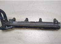  Форсунка топливная Volkswagen Golf 4 1997-2005 20092746 #1