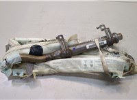  Подушка безопасности боковая (шторка) Nissan Primera P12 2002-2007 20093067 #1