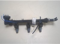 A1600700295 Форсунка топливная Smart Fortwo 1998-2007 20094885 #1