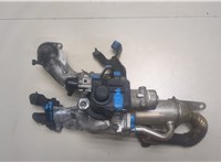  Клапан рециркуляции газов (EGR) Renault Scenic 2009-2012 20095996 #2