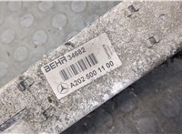 A2025001100 Радиатор интеркулера Mercedes CLK W208 1997-2002 20096258 #6