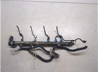 A6460701595 Рампа (рейка) топливная Mercedes Vito W639 2004-2013 20096971 #6