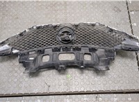  Решетка радиатора Nissan Note E12 2012- 20097041 #2