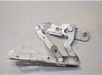  Петля капота Ford EcoSport 2012-2016 20097565 #1