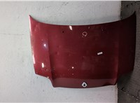 7751469454 Капот Renault Clio 1998-2008 20100446 #7