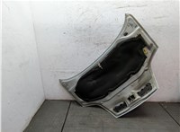  Капот Renault Scenic 1996-2002 20100609 #2