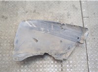 8200289935 Защита арок (подкрылок) Renault Clio 2005-2009 20100966 #2