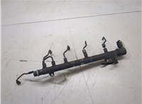 A6460701595 Рампа (рейка) топливная Mercedes Vito W639 2004-2013 20101313 #8