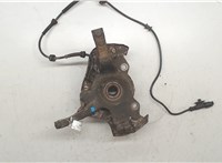 Кулак поворотный Fiat Panda 2003-2012 11255968 #3