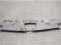 96694780 Накладка замка капота Chevrolet Aveo (T300) 2011- 20102995 #1