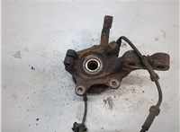  Ступица (кулак, цапфа) Renault Megane 1996-2002 20103073 #2