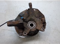 5175025001, 5171625500, 5175625020 Ступица (кулак, цапфа) Hyundai Accent 2000-2006 20104920 #5