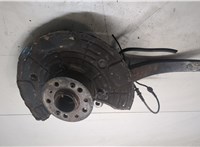 A1643560201, A1643302420 Ступица (кулак, цапфа) Mercedes GL X164 2006-2012 20105031 #5