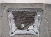 75831BR00A Защита моторного отсека (картера ДВС) Skoda Fabia 2007-2010 20105256 #4