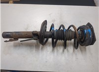  Амортизатор подвески Renault Megane 2 2002-2009 20105326 #6