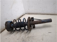  Амортизатор подвески Renault Megane 2 2002-2009 20105326 #9