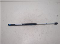 9L7Z78406A11A Амортизатор крышки багажника Lincoln Navigator 2002-2006 20106246 #3