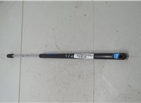 9L7Z78406A11A Амортизатор крышки багажника Lincoln Navigator 2002-2006 20106246 #5