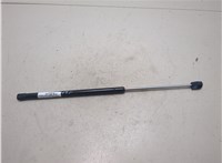 9L7Z78406A10A Амортизатор крышки багажника Lincoln Navigator 2002-2006 20106248 #3