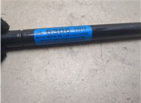 9L7Z78406A10A Амортизатор крышки багажника Lincoln Navigator 2002-2006 20106248 #4