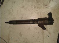 8603595, 36000574, 0445110298 Форсунка топливная Volvo V50 2004-2012 20106330 #1