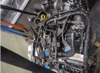 1835980, 1917536, 1857849, CM5G6006BA Двигатель (ДВС на разборку) Ford Focus 3 2011-2015 20110287 #6