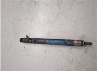 6650170121, EJBR02601Z Форсунка топливная SsangYong Rexton 2001-2007 20111194 #7