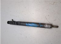 6650170121, EJBR02601Z Форсунка топливная SsangYong Rexton 2001-2007 20111194 #9