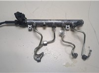  Рампа (рейка) топливная Renault Scenic 2009-2012 20111685 #1