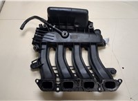  Коллектор впускной Renault Megane 2 2002-2009 20115904 #3