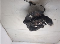 10393246, 15874836 Ступица (кулак, цапфа) Hummer H3 20116006 #5