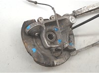 33411093371, 1093371 Ступица (кулак, цапфа) BMW 5 E39 1995-2003 20116351 #7