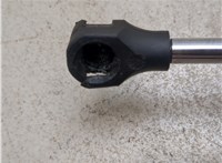 8731G6 Амортизатор крышки багажника Citroen C8 2002-2008 20117580 #4