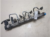 03L130089J Рампа (рейка) топливная Volkswagen Passat 7 2010-2015 Европа 20120461 #7