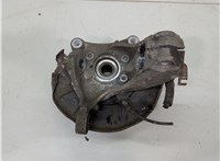  Ступица (кулак, цапфа) Volkswagen Passat 6 2005-2010 20133941 #2