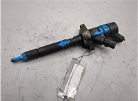 0445110259 Форсунка топливная Citroen C4 Grand Picasso 2006-2013 20134032 #9