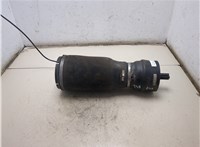 DPLA5580AD Пневмоподушка Land Rover Range Rover Sport 2013- 20134312 #5