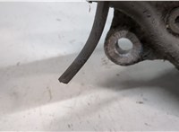  Ступица (кулак, цапфа) Audi A6 (C6) 2005-2011 20134545 #6