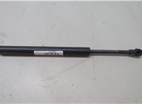7L6845587A Амортизатор крышки багажника Volkswagen Touareg 2007-2010 20135047 #3