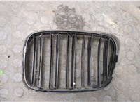  Решетка радиатора BMW 5 E39 1995-2003 20135897 #2