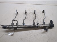 A6460700395 Рампа (рейка) топливная Mercedes C W204 2007-2013 20135980 #5