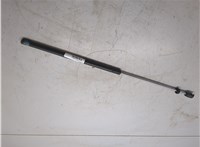 4580770AE, 4580771AE Амортизатор капота Chrysler 300M 20136109 #3