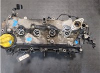 1104100Q2F Головка блока (ГБЦ) Nissan Juke 2010-2019 20137786 #12