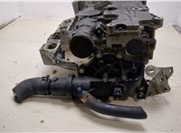  Головка блока (ГБЦ) Renault Megane 2 2002-2009 20138408 #10