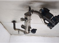  Клапан рециркуляции газов (EGR) Renault Laguna 3 2007-2025 20138646 #8