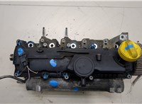  Головка блока (ГБЦ) Renault Scenic 2009-2012 20139177 #1