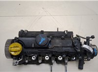  Головка блока (ГБЦ) Renault Scenic 2009-2012 20139227 #1