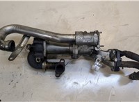  Клапан рециркуляции газов (EGR) Renault Scenic 2003-2009 20139727 #1