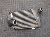 4E0145805J Радиатор интеркулера Audi A8 (D3) 2002-2010 20143518 #3