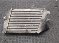 4E0145805J Радиатор интеркулера Audi A8 (D3) 2002-2010 20143518 #4